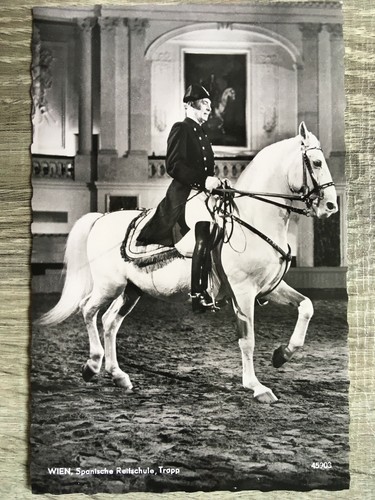 Wien spanische reitschule - ak,