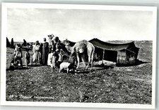 39791645 - Volkstypen