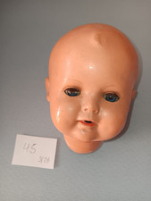 Schildkröt , Puppen Kopf