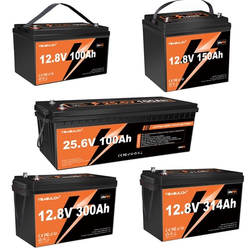 12v 24v 100 - 12v/24v, 100/300ah
