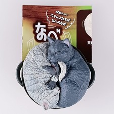 Schildpatt Katze & graue Katze