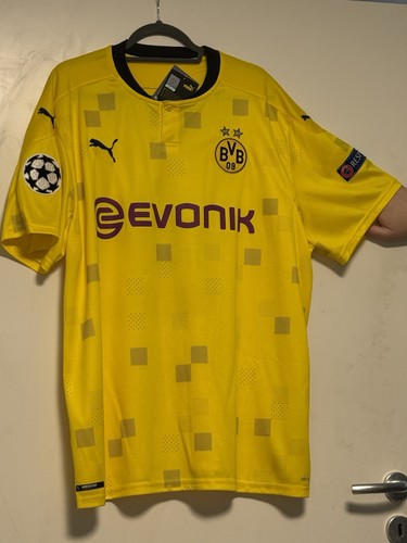 Borussia dortmund pokal bvb - dortmund,