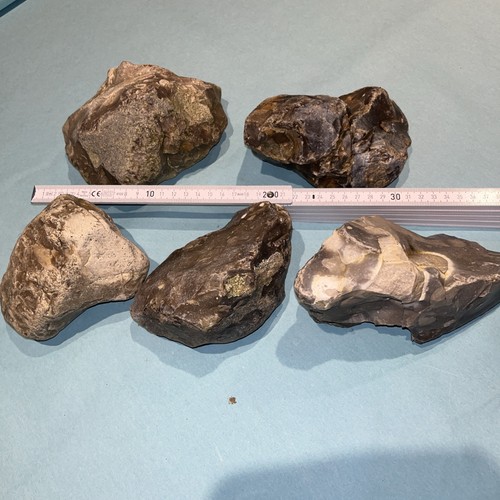 Feuerstein flint ca - feuerstein,