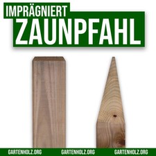 Kantholz 9x9 Pfosten Pfahl Balken Holz Zaunpfosten Vierkantpfosten gespitzt KDI