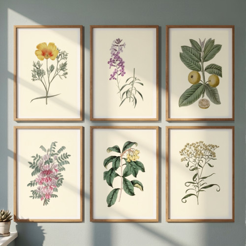6er set vintage botanische - vintage,