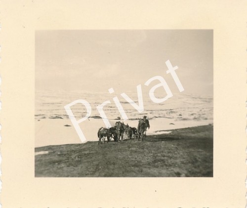 Foto wk2 gebirgs - foto,