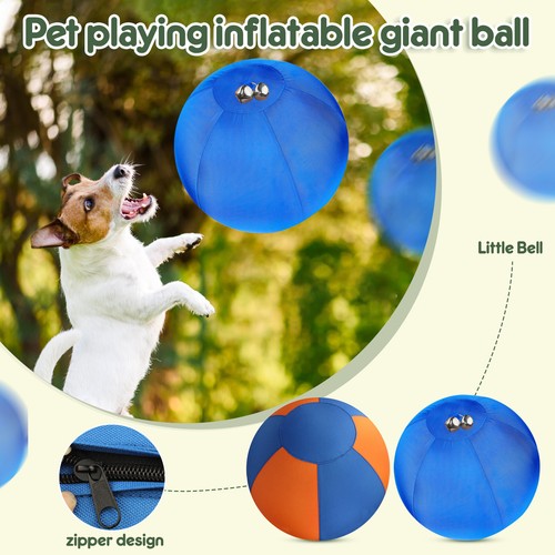 Hunde hüteball pferdeball - hunde,