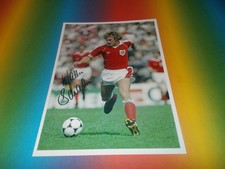 Walter Schachner Österreich