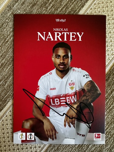 Nikolas nartey vfb - nikolas,