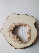 Int22 XL Deko Baumscheibe Ahorn 61x56x8 hohl ca.70 Jahre Holzscheibe Tischplatte