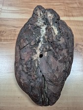 ausgefallen extravagant Rinde Platte  Schwemmholz Treibholz 28 x 15 x 2 cm 