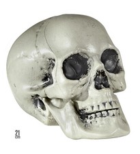 Totenkopf Schädel aus