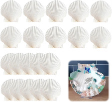 20 Stück Große Weiße Jakobsmuscheln Natürliche Deko Muscheln 6-8cm zum Malen
