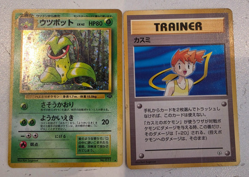 Misty gym leader - leader’s, &