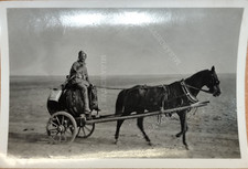 Foto  Polen Feldzug Pferd