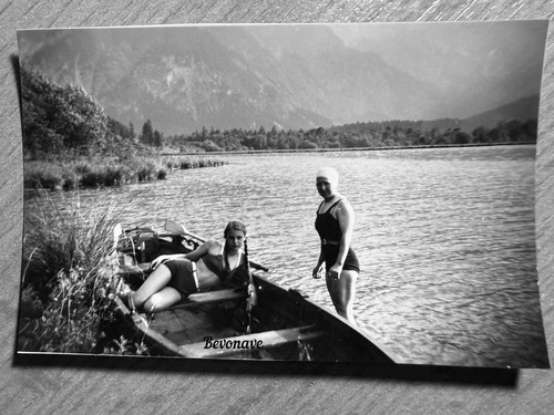 Foto almsee aurich - almsee, mit