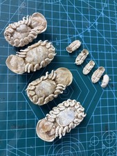 Sehr seltener Elthusa