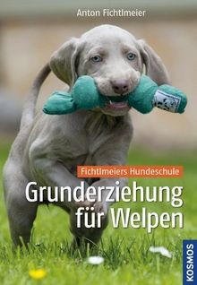 Grunderziehung für welpen - für,