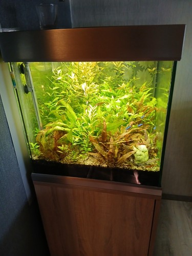 Aquarium komplett set mit - komplett,