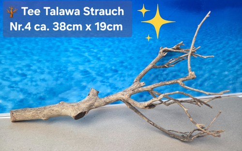Tee talawa strauch - talawa,