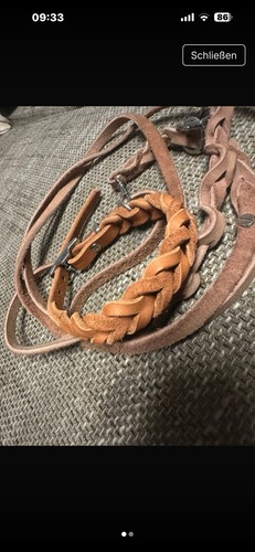 Leder hunde halsband und leine - hunde,