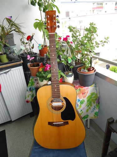 Westerngitarre ibanez mit - westerngitarre,