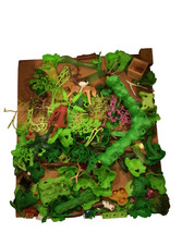 Playmobil Grünzeug Reste Teile - Konvolut Sammlung Set