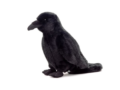 Kuscheltier vogel rabe - vogel, 33