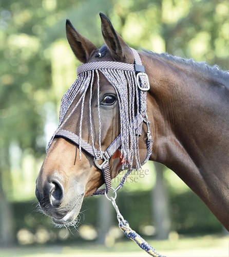 Halfter set von busse modell - von,