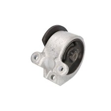 Halter, Motoraufhängung