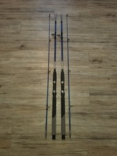 2x Angel Rute Zebco Cool Solid