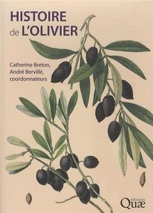 Histoire lolivier von - histoire,