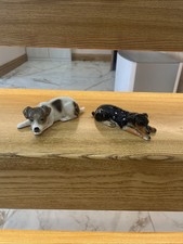 Sammlerhunde - 2,