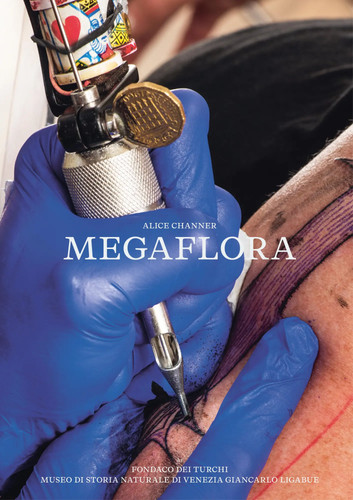 Alice channer megaflora - alice,