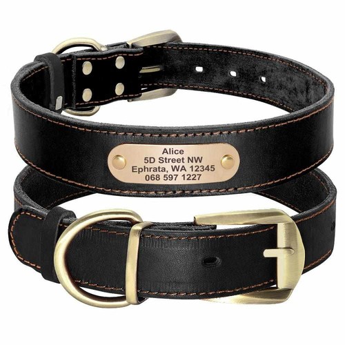 Hundehalsband mit namen - hundehalsband,