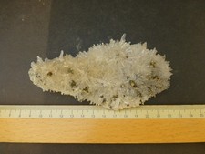 Nr. R2-160 - Rumänien-Cavnic - Quarz + Pyrit / 26-10