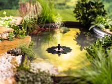 Solar-Wasserspiel Seerose für den Teich Wasserspiel Wasser Spiel