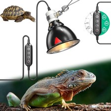 Reptile Dome Terrarium