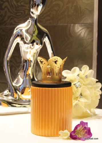 Lampe berger pinaud - lampe,