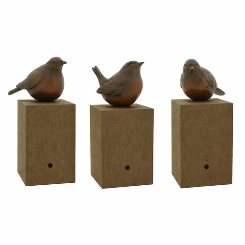 Home society singing - society, bird