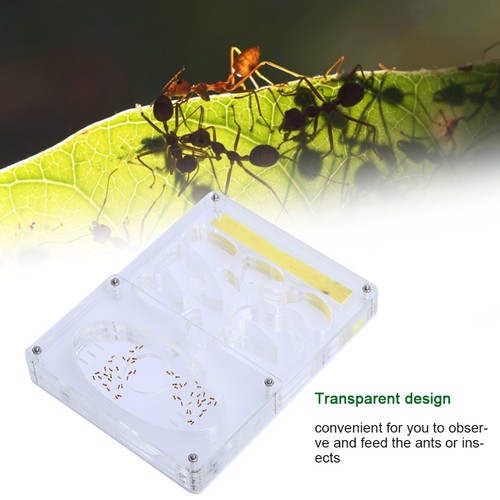 Acrylic transparent nursery - transparent, 3d
