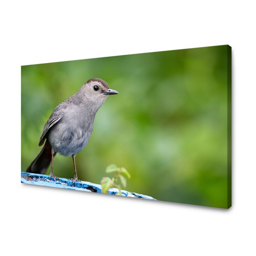 Canvas leinwandbilder xxl - canvas,