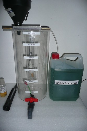 Plankton reaktor liter - plankton,