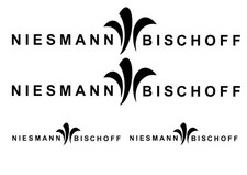 Niesmann Bischoff Wohnmobil