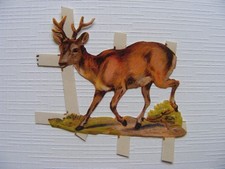 Glanzbild Oblate Poesiealbum Sammlung Kinder alt Tiere Hirsch Rotwild Wald klein