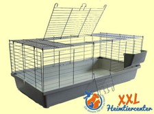 Neues modell - m,