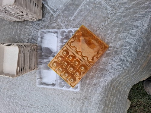Wachtel eier eierkartons - eier,