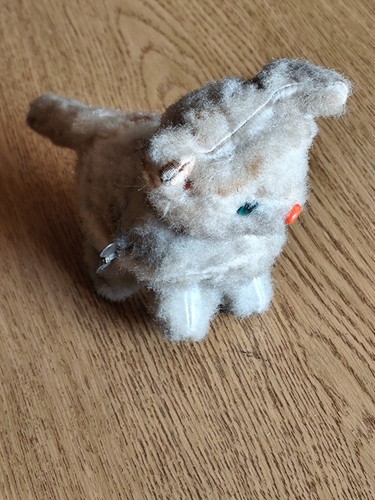 Max carl katze defekt - max,
