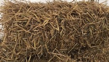 Haferstroh in Bioqualität 8kg