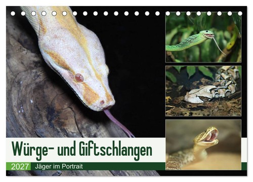 Würge und giftschlangen - würge-,
